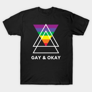 Gay & Okay T-Shirt